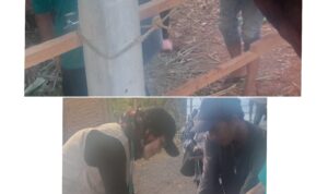 FotoGrid_20240616_190559588