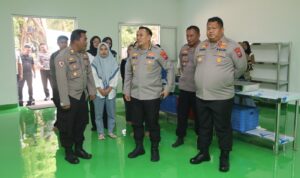 IMG-20251017-WA0175
