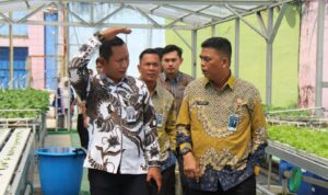 IMG-20251031-WA0048(1)