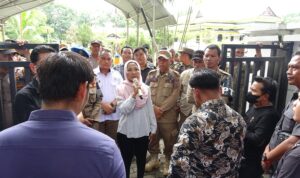 IMG-20251113-WA0020(1)