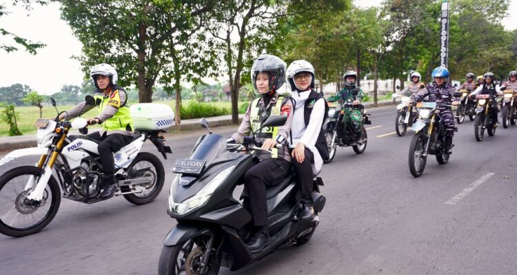 xotpmxhsku_whatsapp-image-2026-03-20-at-193225