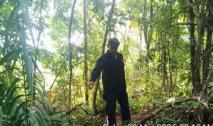 IMG-20260520-WA0145