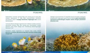 Krem dengan Karangan Bunga Natal Menu_20260609_133350_0000