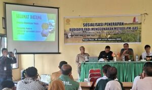 IMG-20260729-WA0153