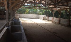 IMG_20260702_19441439