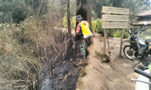 IMG-20260905-WA0017