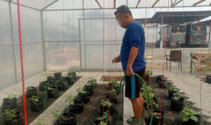 IMG-20261016-WA0109